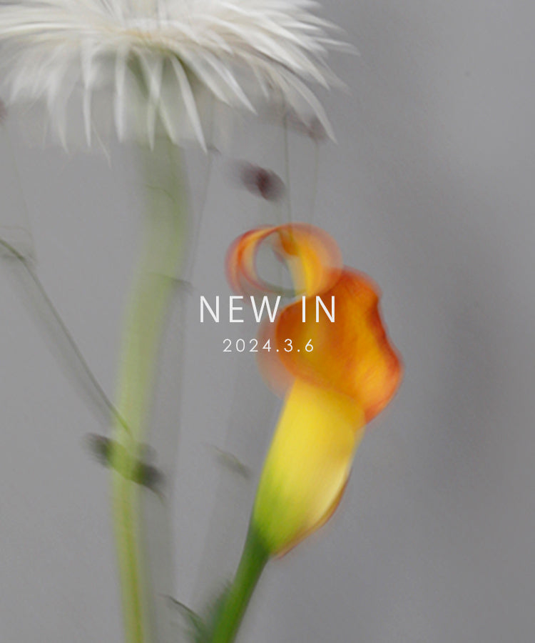 【mimi33】NEW IN 2024.3.6 1