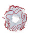 ANEMONE 2025 Spring Summer -February- 11