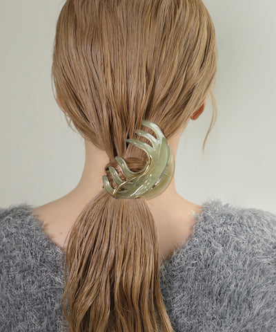 Metal Point Clear Color Claw Clip