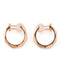 Polygon Convolve Earrings