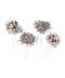 【ANEMONE】Party Item -January- 4
