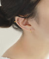 【ステンレス】ビジューナンコツピアス