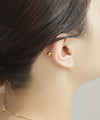【ステンレス】ビジューナンコツピアス