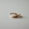 Along Ring GD
