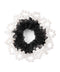 【ANEMONE】NEW ARRIVAL 50