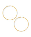 metal hoop earrings