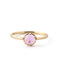 【SIENA ROSE】NEW ARRIVAL 2