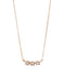【SIENA ROSE】RANKING 19