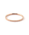 【SIENA ROSE】NEW ARRIVAL 50