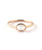 【SIENA ROSE】NEW ARRIVAL 52