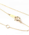 11-diamond horseshoe necklace