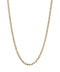 【SIENA ROSE】RANKING 11