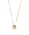 【SIENA ROSE】NEW ARRIVAL 25