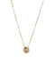 【SIENA ROSE】NEW ARRIVAL 26