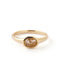 SIENA ROSE 24AW HOLIDAY COLLECTION 24