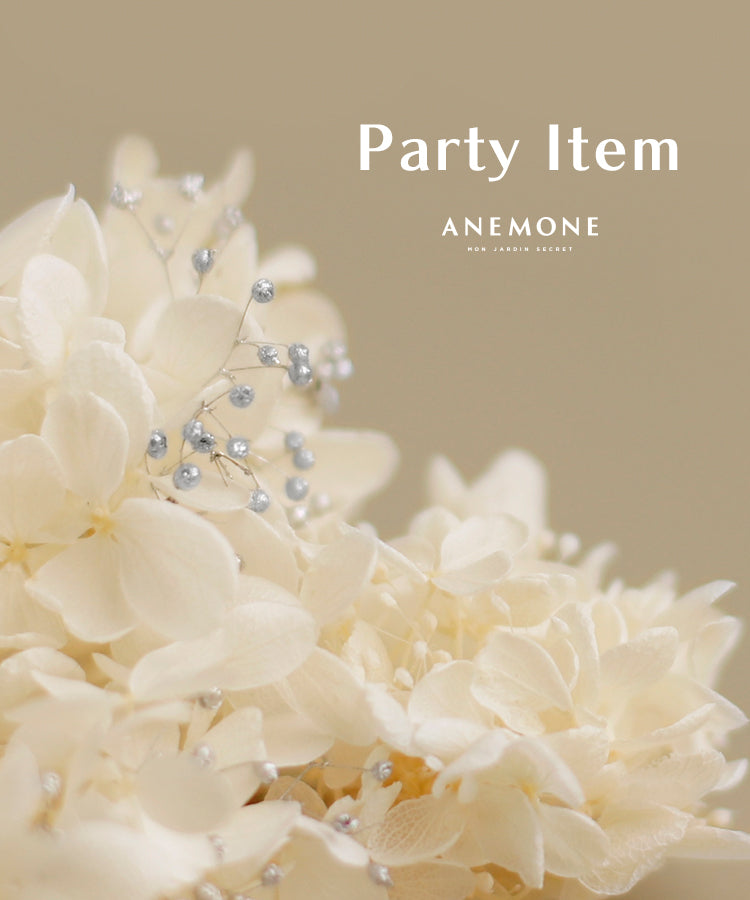 【ANEMONE】Party Item -January- 1