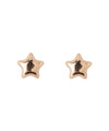 ROSETEN・IRONYピアス[スター]