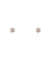 ROSETEN・一粒ダイヤのスタッドピアス[0.06ct]
