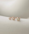 ROSETEN・一粒ダイヤのスタッドピアス[0.2ct]
