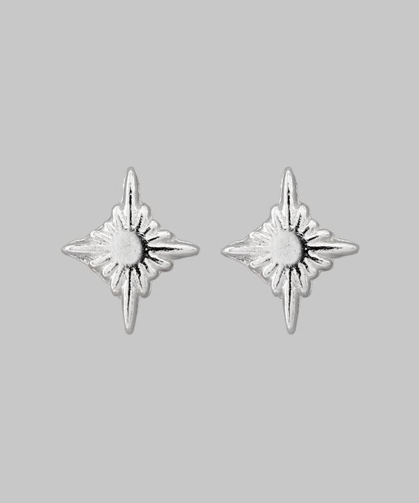 シャイニーモチーフピアス[silver925][Basic]