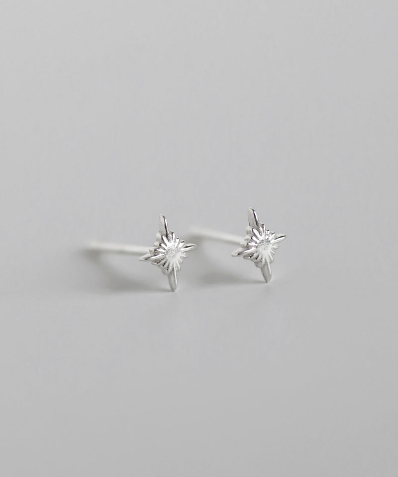 シャイニーモチーフピアス[silver925][Basic]