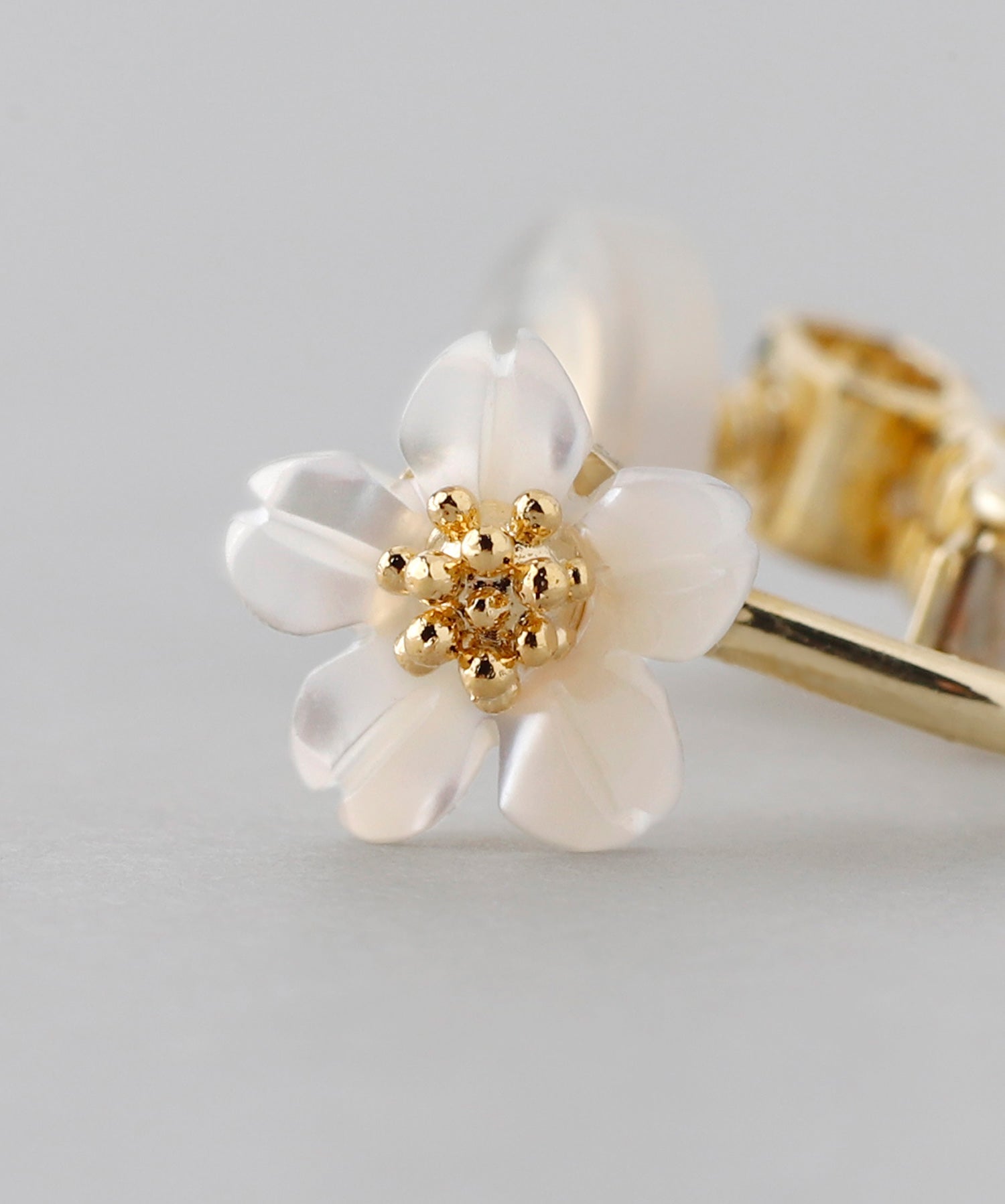 【はくとん( 'ω')ŧ‹\