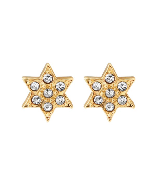ビジュースターピアス[Sheerchic]