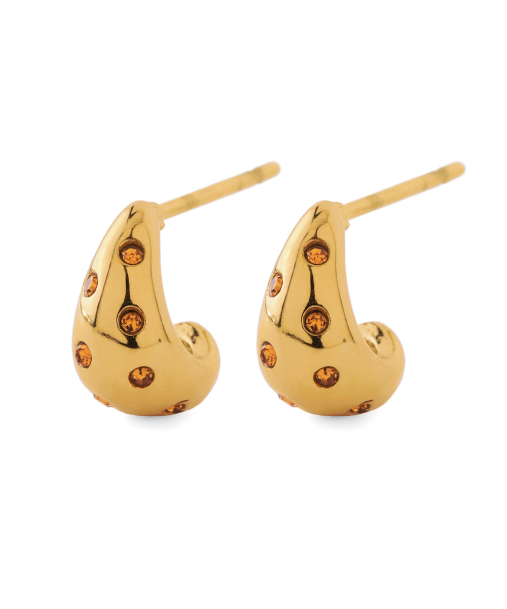 [mimi33] Bijou Curl Earrings [Stainless Steel] [Sheerchic] | Anemone ...
