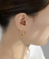 [Stainless Steel] Metal Hook Earrings
