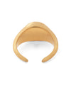Natural Stone Signet Ring [Ownideal]