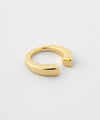 Metal 2-Way Earrings [M] [Basic]