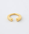 Metal 2-Way Earrings [M] [Basic]