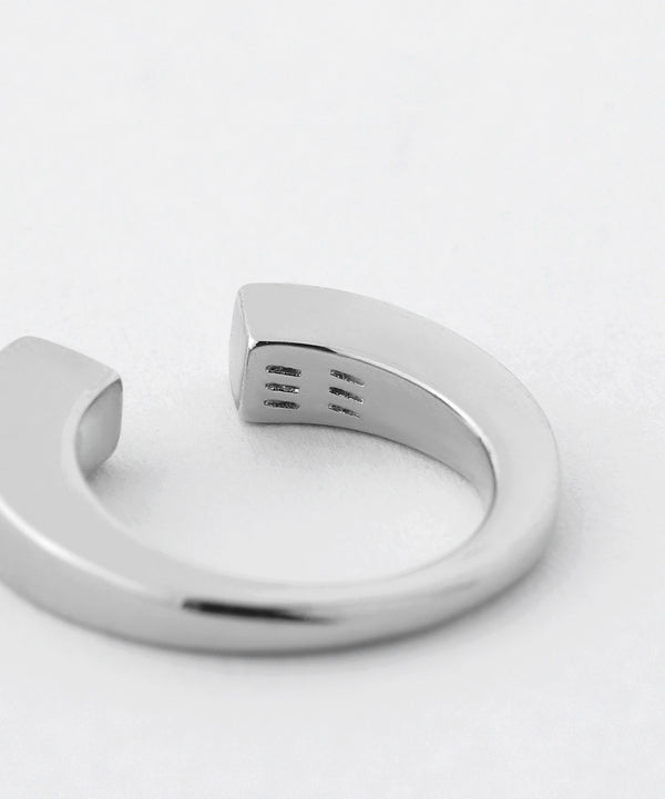 Metal 2-Way Earrings [M] [Basic]