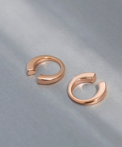 Metal 2-Way Earrings [M] [Basic]