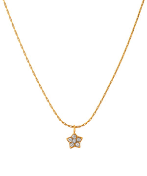 【ステンレス】スタービジューネックレス
