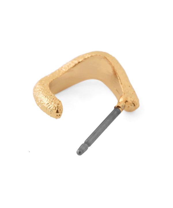 Nuanced hoop earrings [Sheerchic]