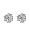 Round jeweled earrings