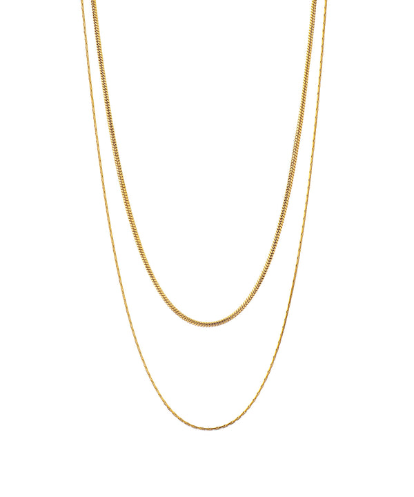 ANEMONE】【ステンレス】ダブルチェーンネックレス｜アネモネ