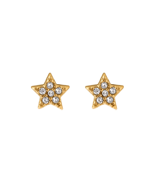 【ステンレス】ビジュースターピアス