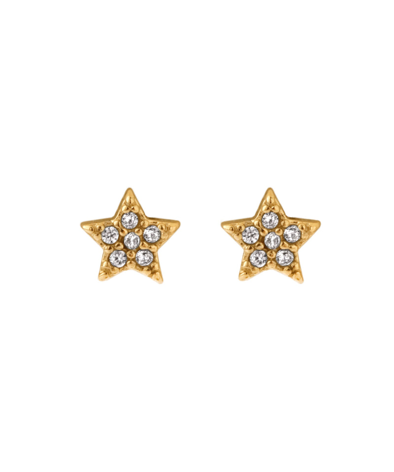 【ステンレス】ビジュースターピアス
