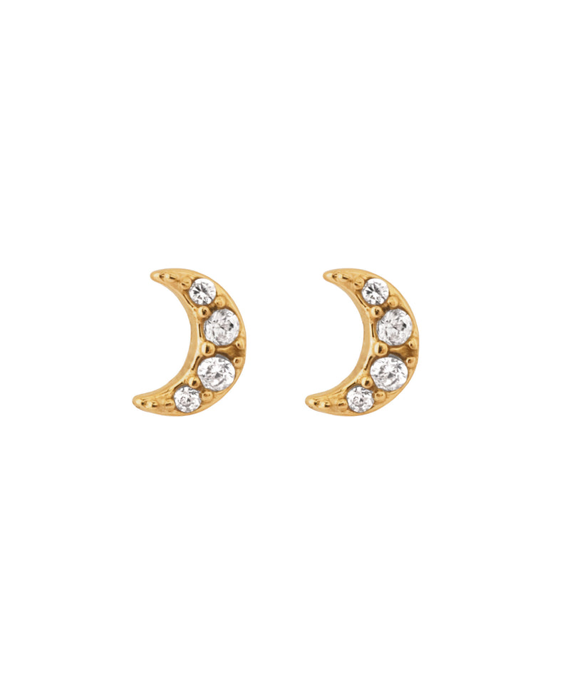 【ステンレス】ビジュームーンピアス