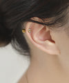 【ステンレス】ビジューナンコツピアス