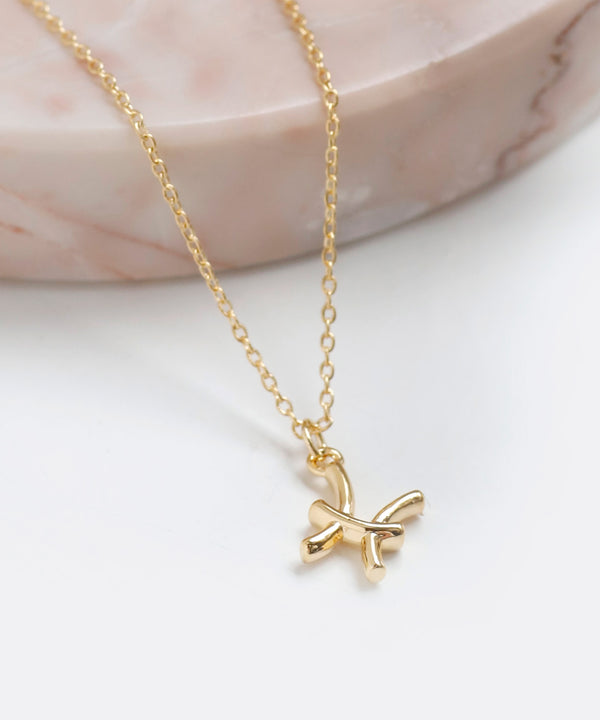 星座項鍊[水瓶座]