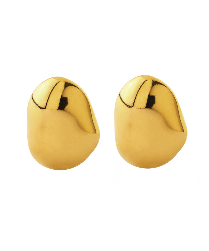 [Stainless Steel] Nuance Metal Earrings