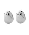 [Stainless Steel] Nuance Metal Earrings