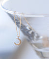 [Gift box included] Diamond crescent moon necklace [K10]