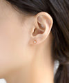 淡水パールフラワーピアス[K10]