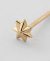 Star Mini Earrings [K10][Basic]