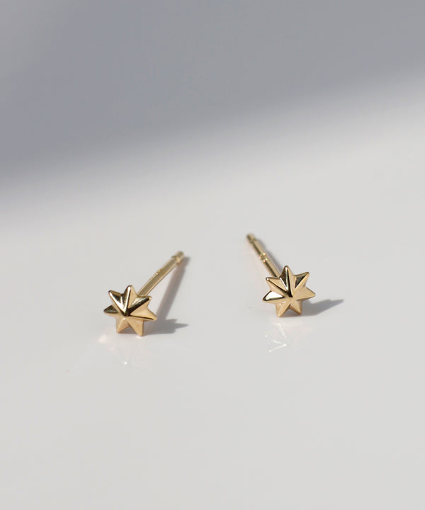 Star Mini Earrings [K10][Basic]