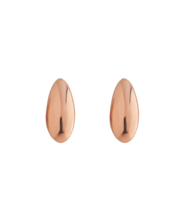 Seed Earrings [Stainless Steel] [Basic]